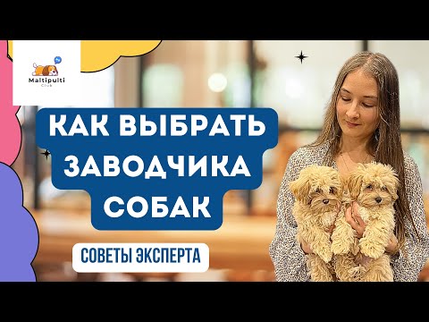 Видео: 5 ошибок при выборе заводчика, питомника собак - не ведитесь