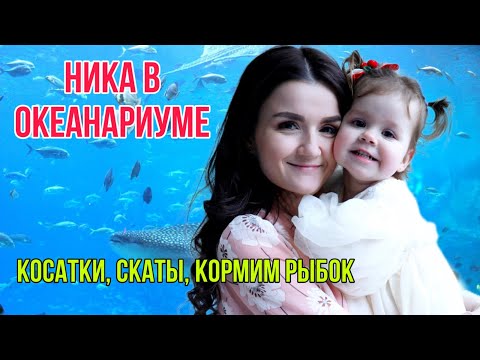 Видео: Ника в москвариуме!Косатки и скаты!Кормим рыбок.Привет, я Ника!