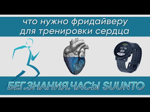 Видео: Специализированные тренировки для фридайверов и подводных охотников на суше. Часть 1. Бег и сердце.