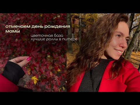 Видео: уютный влог// празднуем день рождения мамы, распаковка с WB, жизнь с корги
