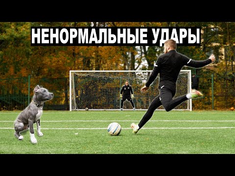 Видео: ЭТО НЕНОРМАЛЬНЫЕ УДАРЫ