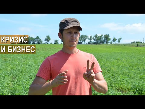 Видео: Фермерский бизнес в кризис. Органический фермер Иван Новичихин