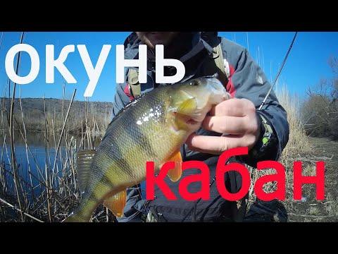 Видео: ЭТО РЫБАЛКА !!! ОКУНЬ НА ДИКОЙ РЕКЕ !!!