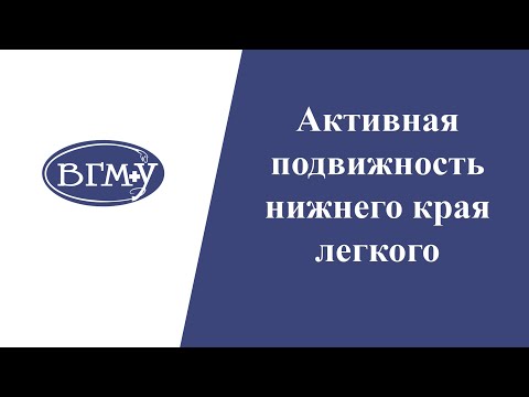 Видео: Активная подвижность нижнего края легкого
