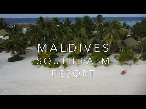 Видео: 4К🇲🇻 MALDIVES🏝️| Hotel South Palm Resort | Relaxing Chill-Out Lounge #14 | Мальдивы 4K Дрон