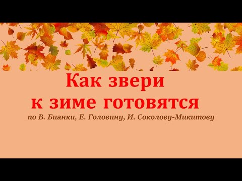 Видео: "Как звери к зиме готовятся"