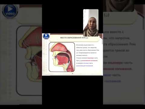 Видео: 6-МАХРАДЖ САБАҒЫ Тілдің ұшы Лям, Нун, Ро