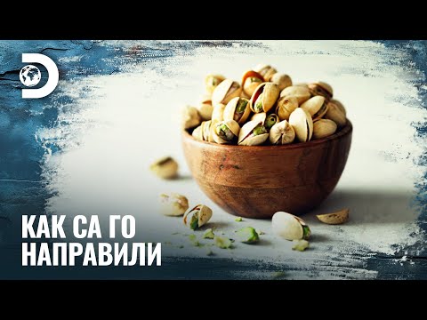 Видео: Как се отглеждат фистиците? | Как са го направили?