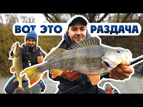 Видео: ИДЕТ ТОЛЬКО КРУПНЯК! Ловля ЩУКИ и ОКУНЯ ЗИМОЙ! Рыбалка на спиннинг