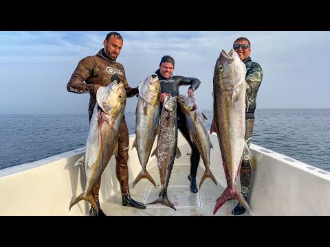 Видео: Подводная охота на затонувшие суда в Дубае в поисках амберджека и королевской рыбы 🇦🇪 ОАЭ — это Э...