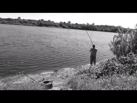 Видео: Сало с Анисом на Леща! Рыбалка в Жару на Донки на Оке!