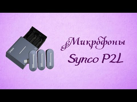 Видео: Беспроводная микрофонная система Synco P2L – пишем звук в любых условиях