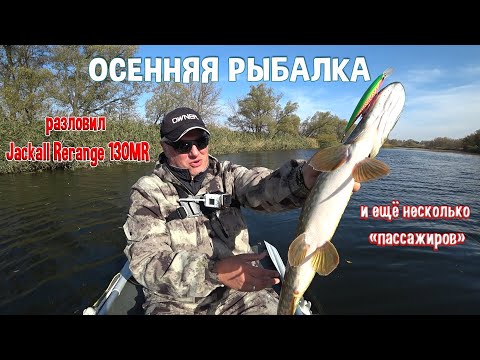 Видео: Осенняя рыбалка. Разловил Jackall Rerange 130MR и ещё несколько «пассажиров»