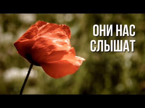 Видео: д/ф "Они нас слышат"