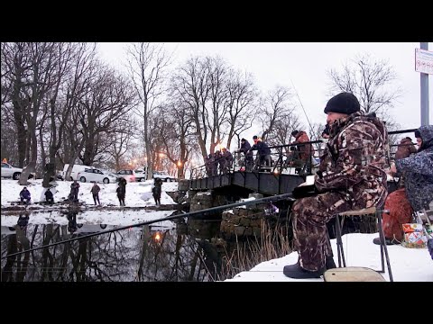 Видео: ПЛОТВА ИДЕТ ПОМАЛЕНЬКУ, Рыбалка зимой на поплавочную удочку.