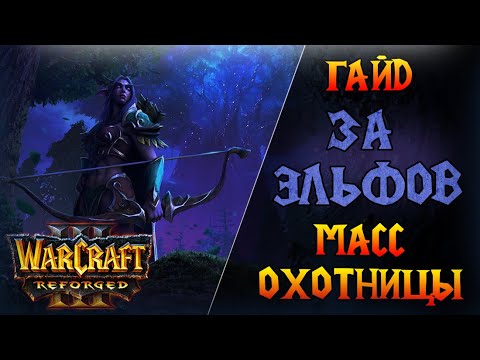 Видео: Самая простая стратегия - масс охотницы! \\  Warcraft 3 Reforged - Гайд за Ночных Эльфов