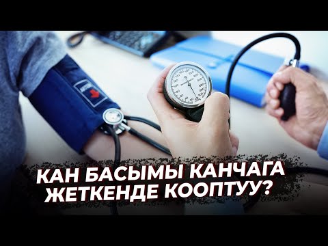 Видео: КАН БАСЫМЫ КАНЧАГА ЖЕТКЕНДЕ КООПТУУ БОЛОТ? // Ден соолук