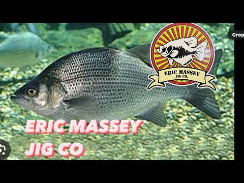 Видео: Белый окунь? Как вязать на него приманки?