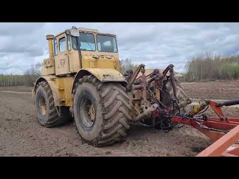 Видео: Первый опыт работы на кировце с дисковой бороной.