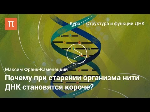 Видео: Репликация ДНК — Максим Франк-Каменецкий