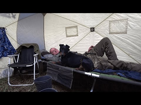 Видео: ДРУЖБА ЧЕЛОВЕКА и СОБАКИ и ЖИЗНЬ в НЕПРОСТЫХ УСЛОВИЯХ. №362
