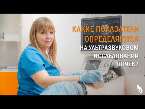 Видео: Какие показатели определяются при ультразвуковом исследовании почек? — рассказывает Е.В. Квактун.