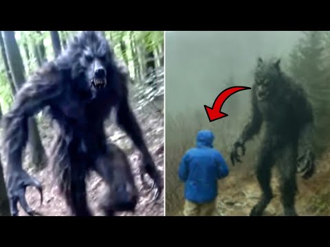 Видео: Какую Тайну Скрывают Апалачи? Неизвестное Существо Атакует Туристов. 3 УЖАСНЫХ Встречи