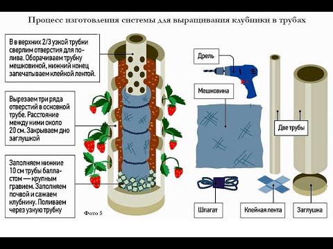 Видео: Вертикальная грядка клубники делается легко и быстро