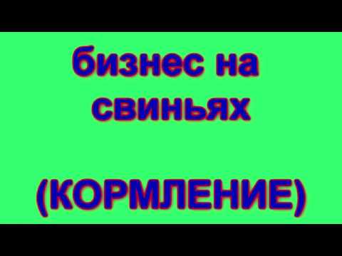 Видео: БИЗНЕС НА СВИНЬЯХ!  (КОРМЛЕНИЕ)