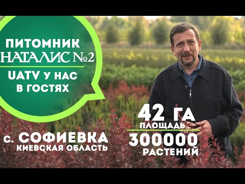 Видео: Питомник растений НАТАЛИС №2 в с. Софиевка, Киевская обл. (Моя земля, UATV)