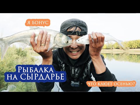 Видео: УЧУСЬ РЫБАЧИТЬ на Сырдарье. ЧАСТЬ 2: Осенняя рыбалка #фидер #рыбалка #осень