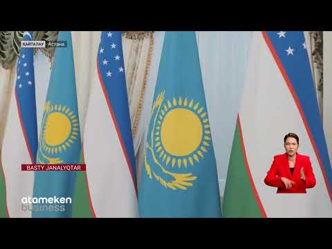 Видео: Тоқаев Мирзиеевті Астанаға не үшін шақырды?