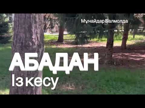Видео: Абадан. Із кесу. Қасқыр мен жекпе жек! #өмірлікхикаялар