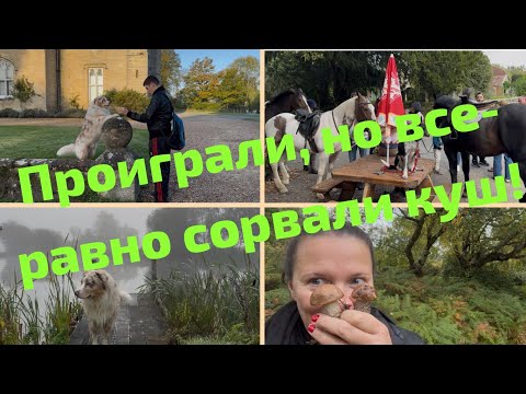 Видео: Идем за провизией/Мое секретное место/Дог шоу/Чуть не наступила на змею/Продляем инвалидность/Отпуск