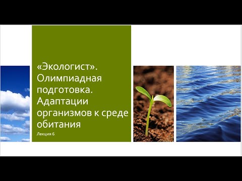 Видео: Подготовка к олимпиаде. Лекция 6. Адаптации организмов к окружающей среде