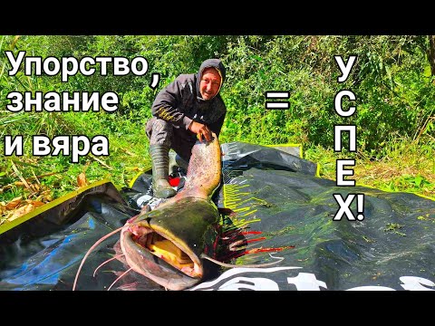 Видео: В търсене на искърския сом 3