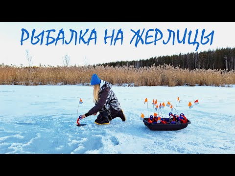 Видео: БЕГАЮ ЗА ФЛАГАМИ! Рыбалка на жерлицы с ночевкой. Ловим окуня на железо.