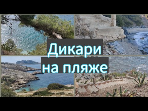 Видео: Дикий Пляж🇫🇷Прогулка в Марсель и Скалы Весной