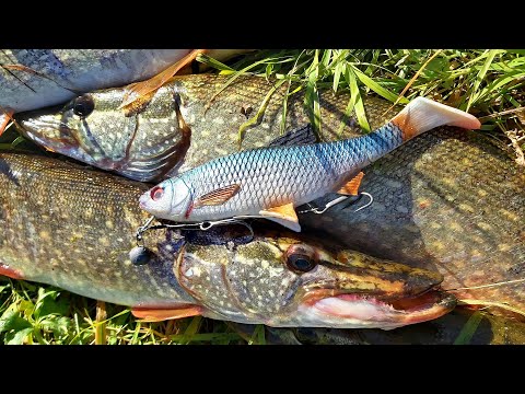 Видео: На НИХ щука КЛЮЁТ как сумасшедшая! Это надо видеть! Рыбалка на щуку 2021!