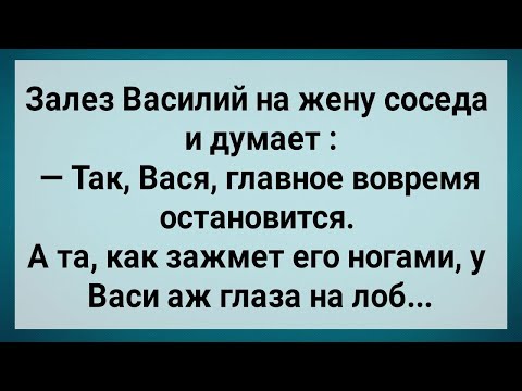 Видео: Как Василий На Жену Соседа Залез! Сборник Свежих Анекдотов! Юмор!