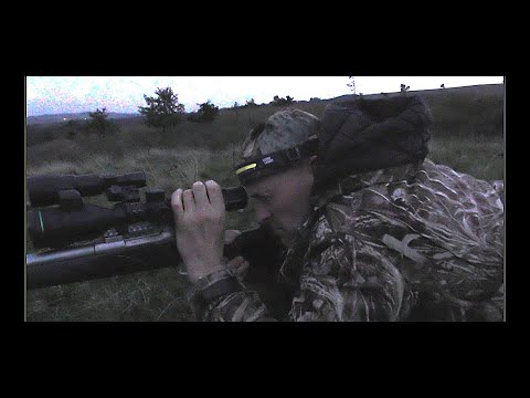Видео: Сохранение вересковой пустоши Sako 75 6ppc.