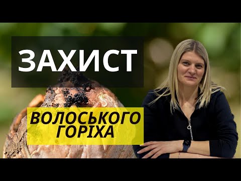 Видео: Горіх волоський: захист від шкідників та хвороб, удобрення.