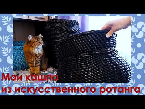 Видео: Мои кашпо из искусственного ротанга. Разнообразие форм и материалов