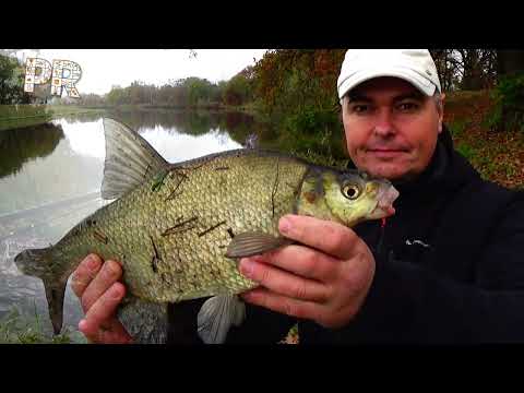 Видео: Як ловити рибу на річці.