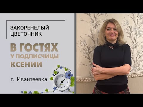 Видео: В гостях у Ксении. Ивантеевка. Котики ориенталы, хлорофитумы, монстеры, диффенбахия и фиалки.