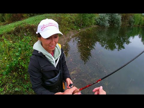 Видео: СПИННИНГ! СЕНТЯБРЬ! И ДОСАДНЫЙ СХОД У НАТАШИ. ДА КАК ТАК?!!