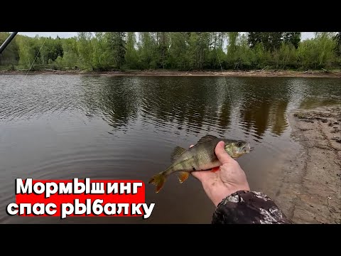 Видео: С ТАКИМИ ОКУНЯМИ  И ЩУКА НЕ НУЖНА! МОРМЫШИНГ СПАС РЫБАЛКУ. ЛОВЛЯ ЩУКИ НА ЖИВЦА. РЫБАЛКА 2024.