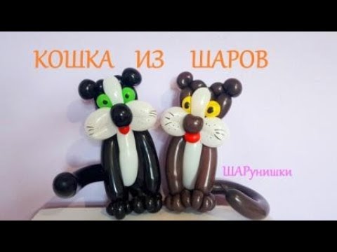 Видео: Кошечка Котик из шаров. Мастер класс. Balloon cat. Balloons. DIY. Hand made. How make