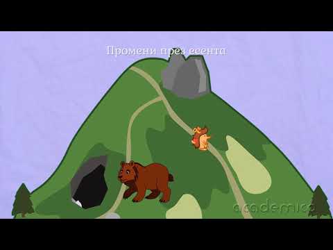 Видео: Промени в природата - Околен свят 2 клас | academico