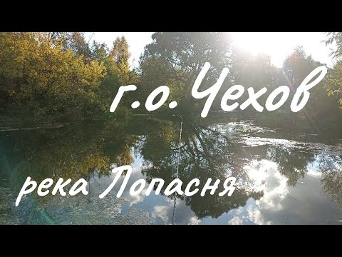 Видео: 2 октября 2023 г.